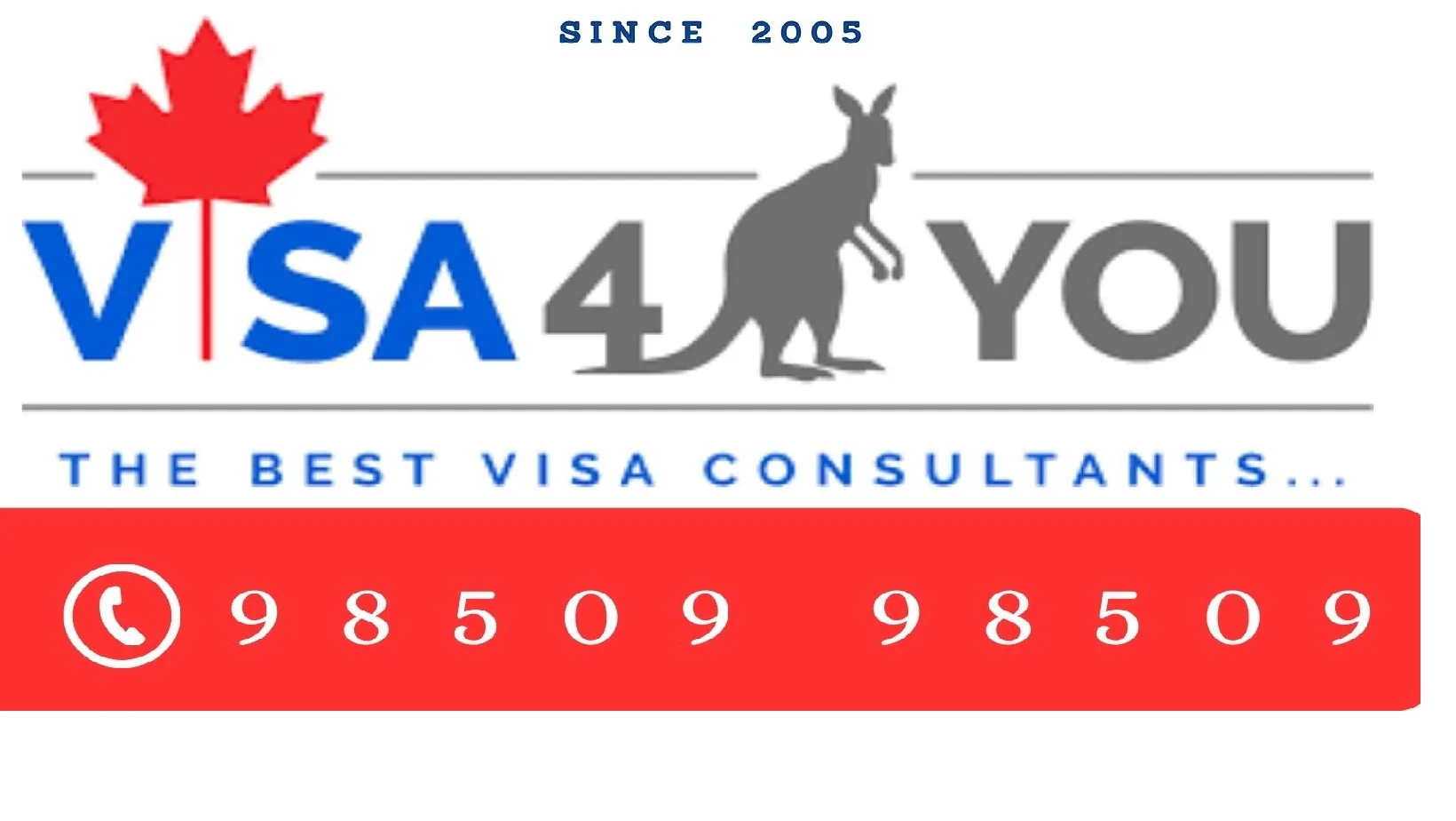 Visa4You