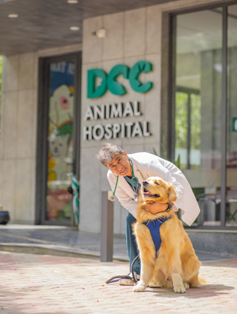 DCC Animal Hospital – Best Pet Clinic in Delhi, Gurgaon & Noida